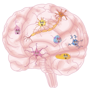 The Microglia The Microglia