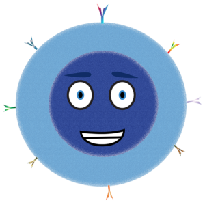 The T Cell The T Cell