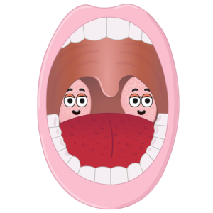 The Tonsils The Tonsils